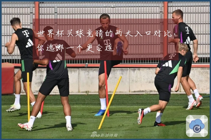 世界杯买球竞猜的两大入口对比，你选哪一个更合适