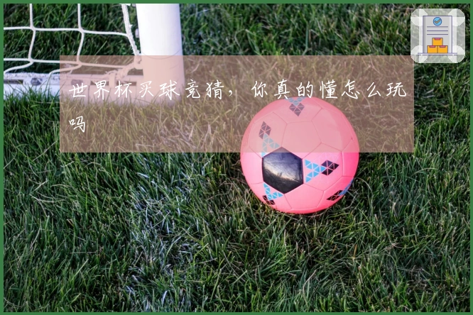 世界杯买球竞猜，你真的懂怎么玩吗