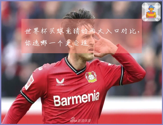 世界杯买球竞猜的两大入口对比，你选哪一个更合适