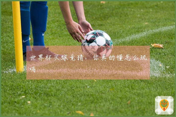 世界杯买球竞猜，你真的懂怎么玩吗
