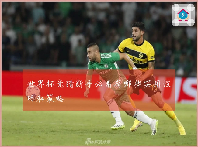 世界杯竞猜新手必看有哪些实用技巧和策略