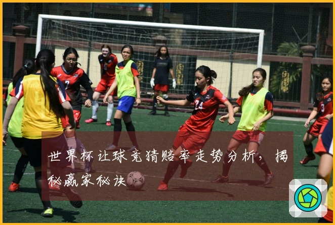 世界杯让球竞猜赔率走势分析，揭秘赢家秘诀