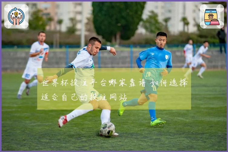 世界杯投注平台哪家靠谱 如何选择适合自己的投注网站