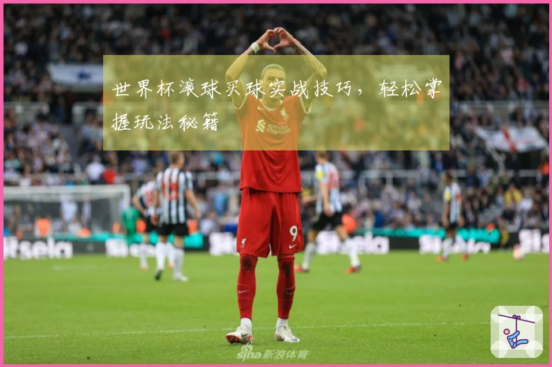 世界杯滚球买球实战技巧，轻松掌握玩法秘籍