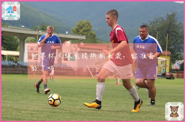 世界杯买球竞猜热潮来袭，你准备好了吗