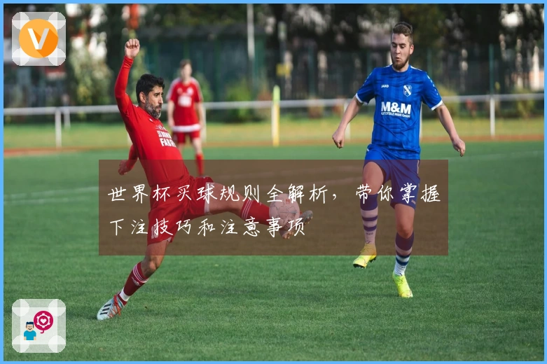 世界杯买球规则全解析，带你掌握下注技巧和注意事项