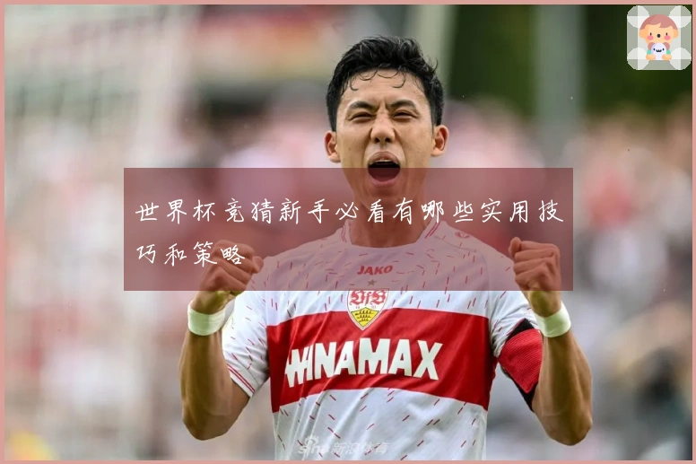 世界杯竞猜新手必看有哪些实用技巧和策略