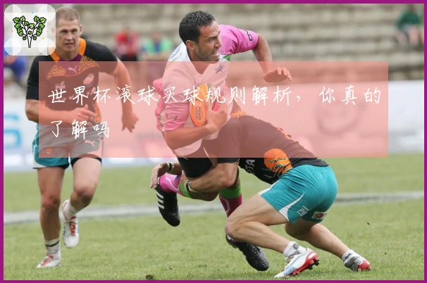 世界杯滚球买球规则解析，你真的了解吗